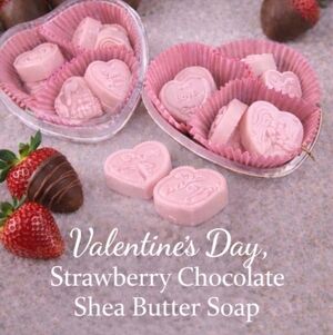LAST ! HandCrafted Shea Butter Soaps Chocolates 10 Count Minis & Soap Saver